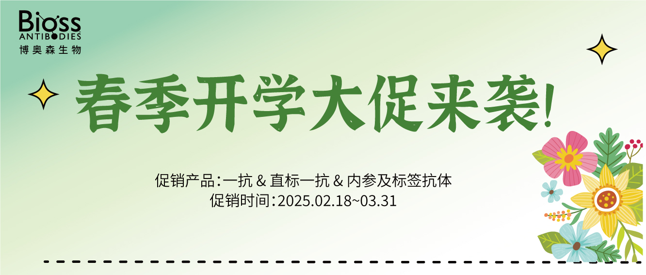 標簽抗體